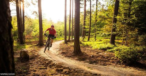 297 Gray Mill Court, Carson City, NV 89705 Photo