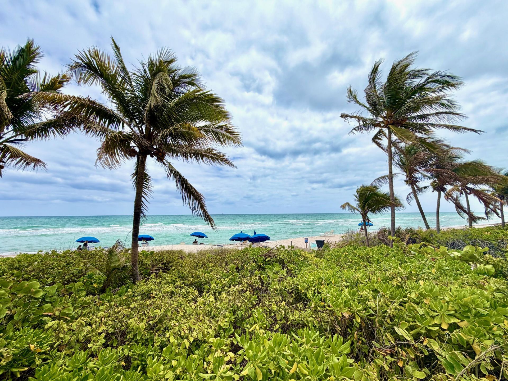 1985 S Ocean Drive, Unit 21a, Hallandale Beach, FL 33009 Photo