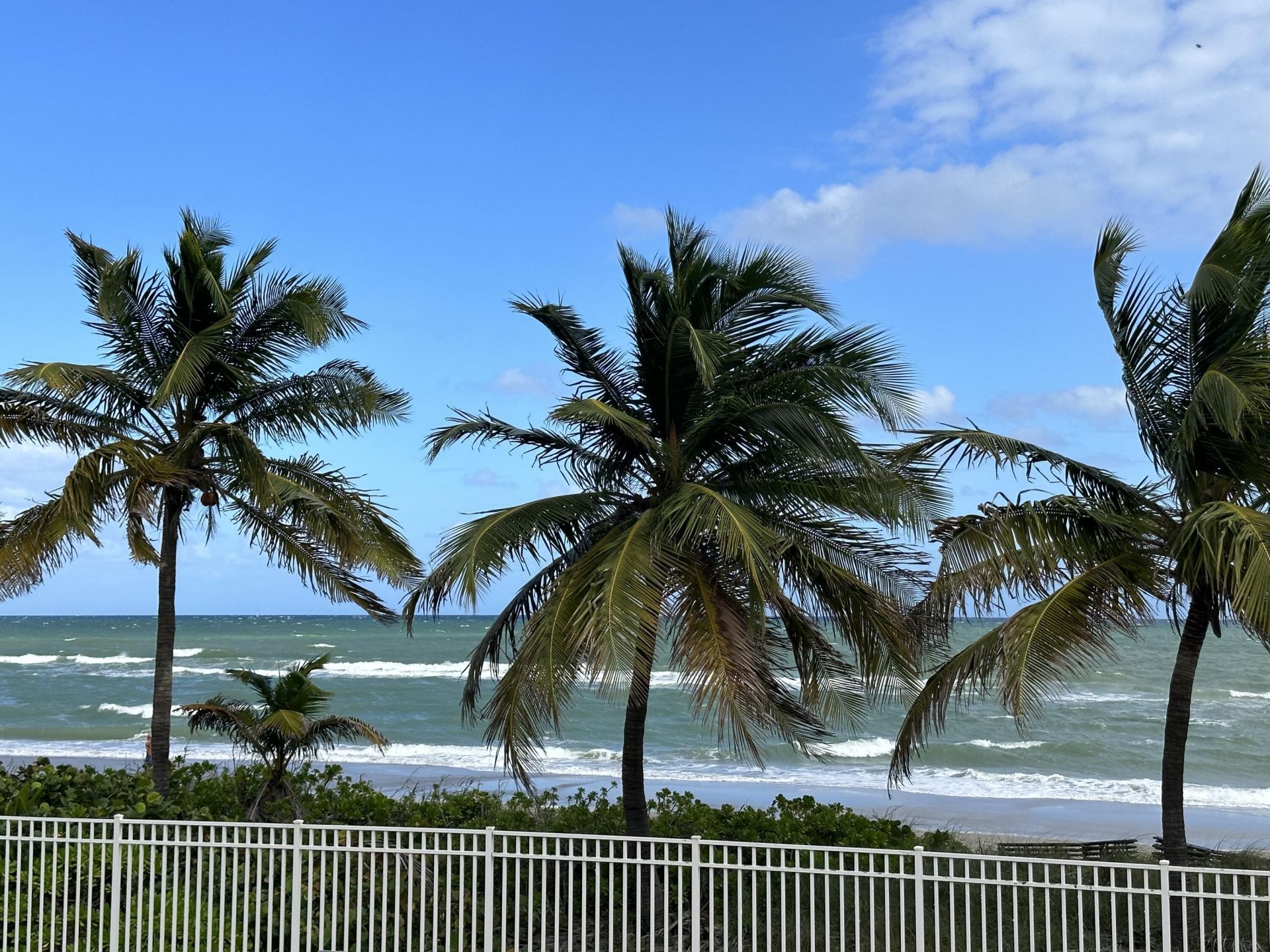 1985 S Ocean Drive, Unit 21a, Hallandale Beach, FL 33009 Photo