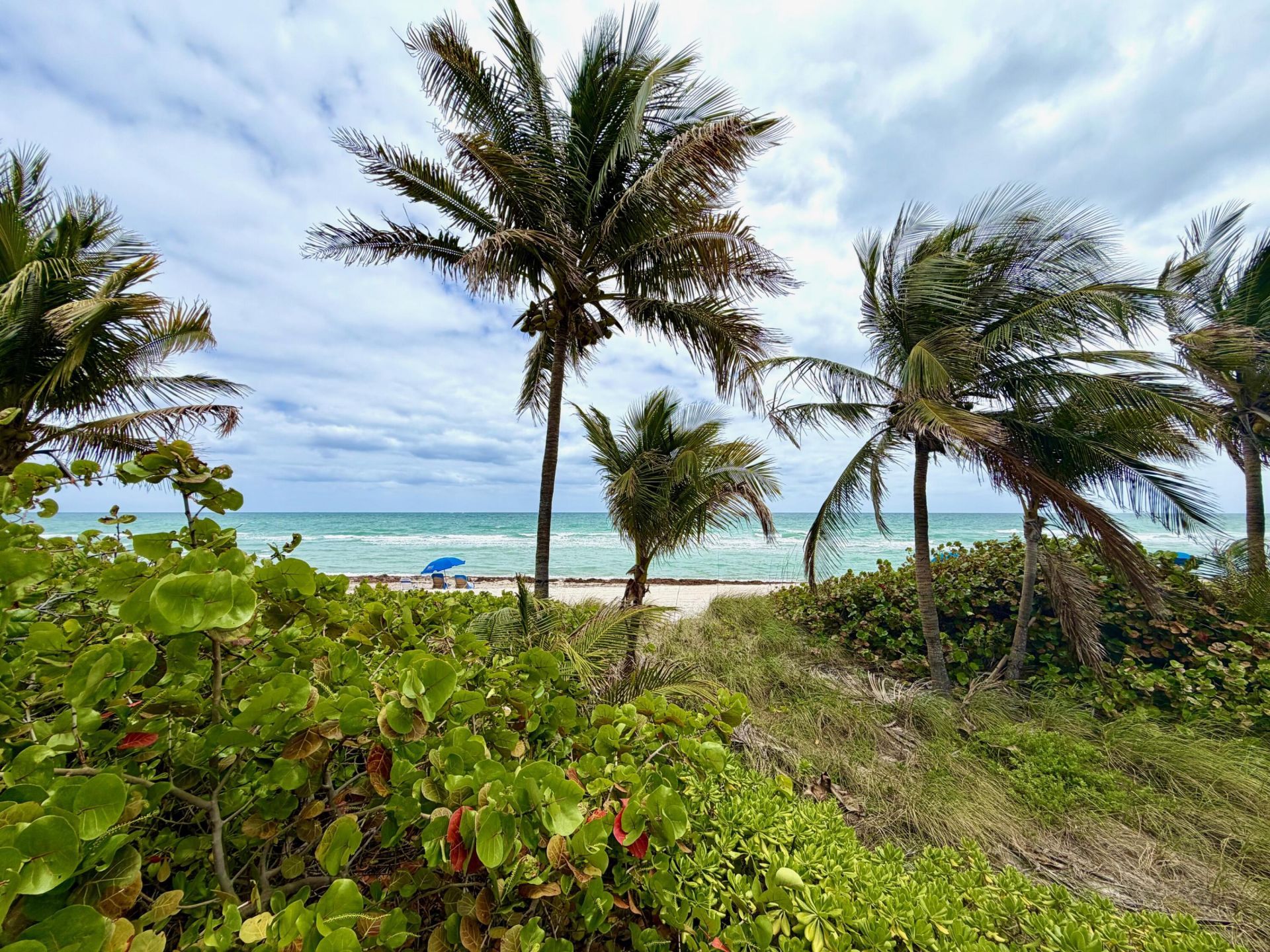 1985 S Ocean Drive, Unit 21a, Hallandale Beach, FL 33009 Photo