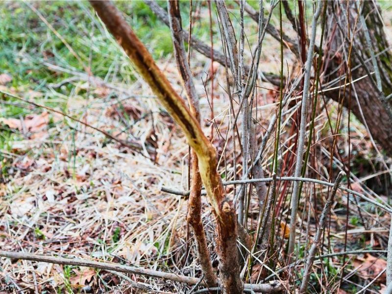 6030 Atkinson Creek Road SE, Tippecanoe, OH 44699 Photo 11