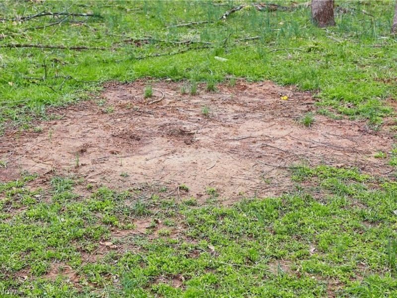 6030 Atkinson Creek Road SE, Tippecanoe, OH 44699 Photo 16