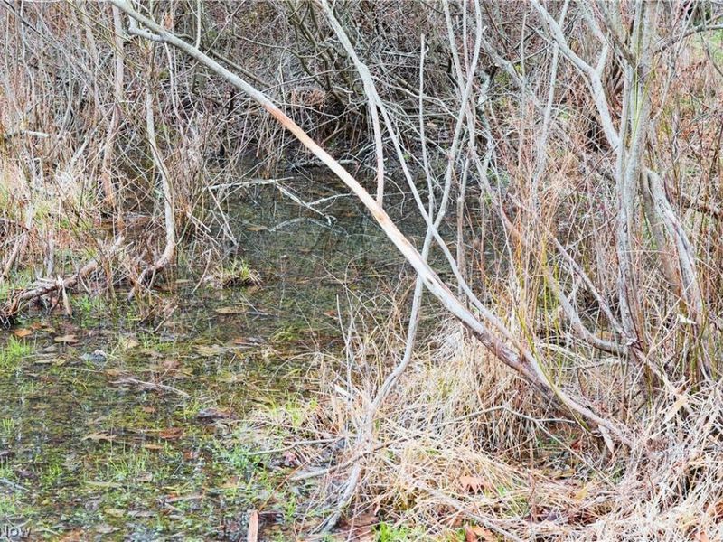 6030 Atkinson Creek Road SE, Tippecanoe, OH 44699 Photo 17