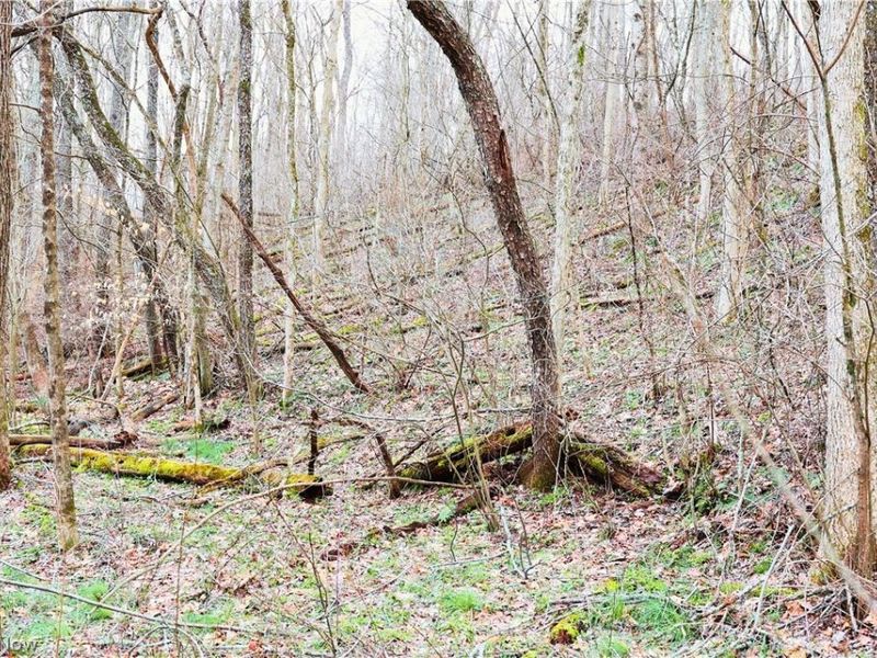 6030 Atkinson Creek Road SE, Tippecanoe, OH 44699 Photo 19