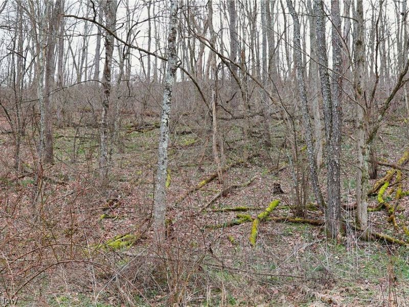 6030 Atkinson Creek Road SE, Tippecanoe, OH 44699 Photo 20