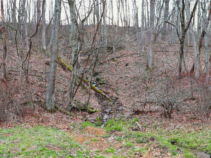 6030 Atkinson Creek Road SE, Tippecanoe, OH 44699 Photo 22