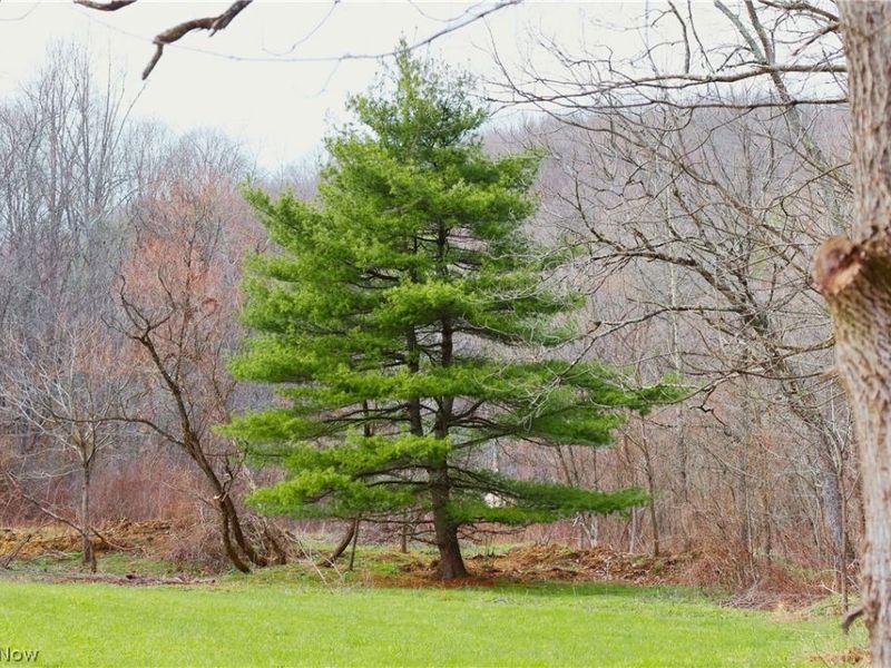 6030 Atkinson Creek Road SE, Tippecanoe, OH 44699 Photo 25