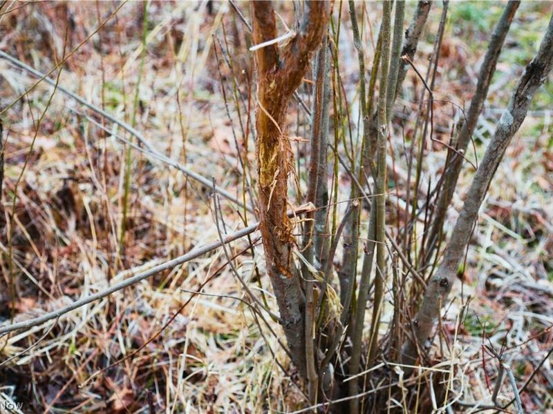 6030 Atkinson Creek Road SE, Tippecanoe, OH 44699 Photo 4