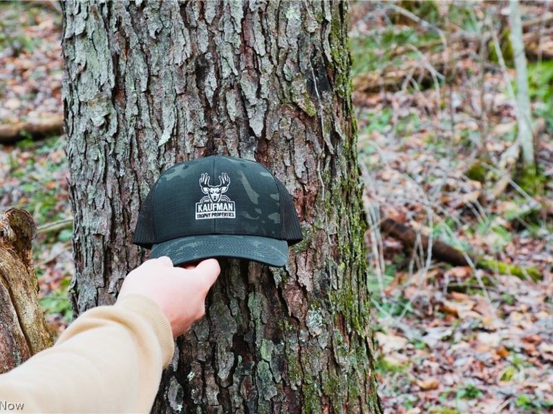 6030 Atkinson Creek Road SE, Tippecanoe, OH 44699 Photo 5