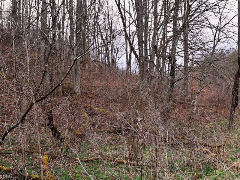 6030 Atkinson Creek Road SE, Tippecanoe, OH 44699 Photo 6