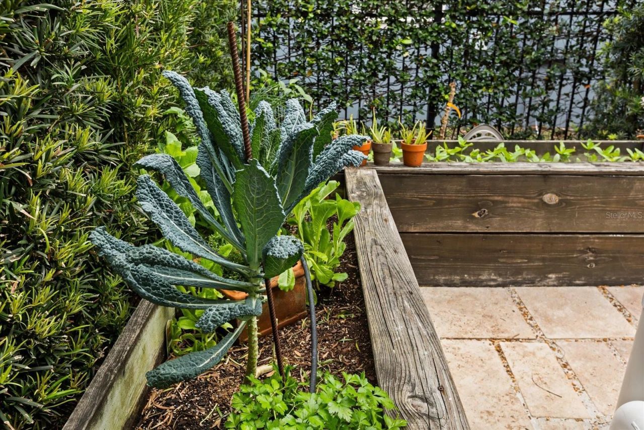 3802 Haws Lane, Orlando, FL 32814 Photo