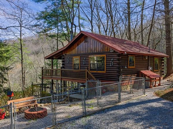 216 Pig Trail, Cherry Log, GA 30522