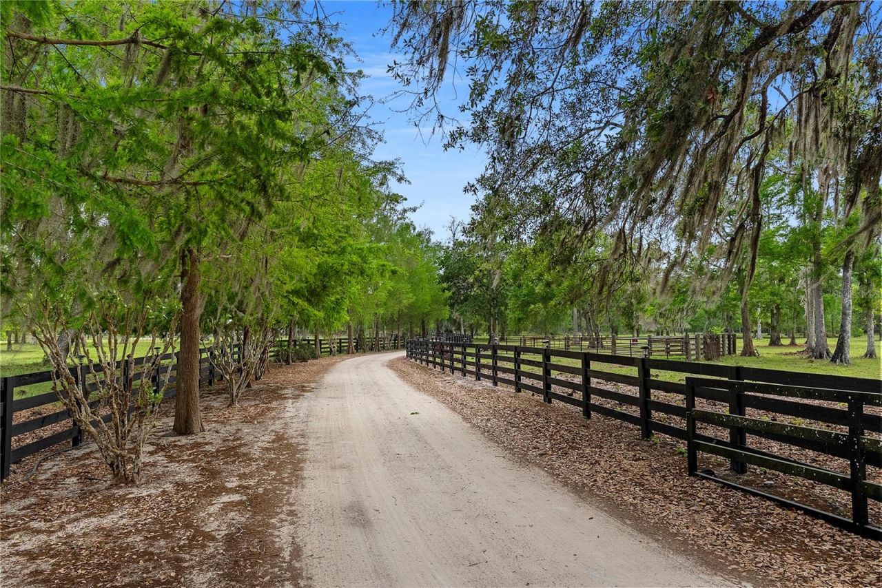 13910 Corkwood Lane, Astatula, FL 34705 Photo