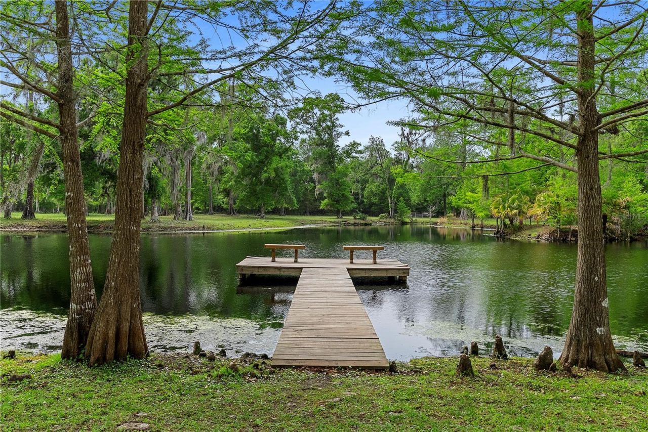 13910 Corkwood Lane, Astatula, FL 34705 Photo