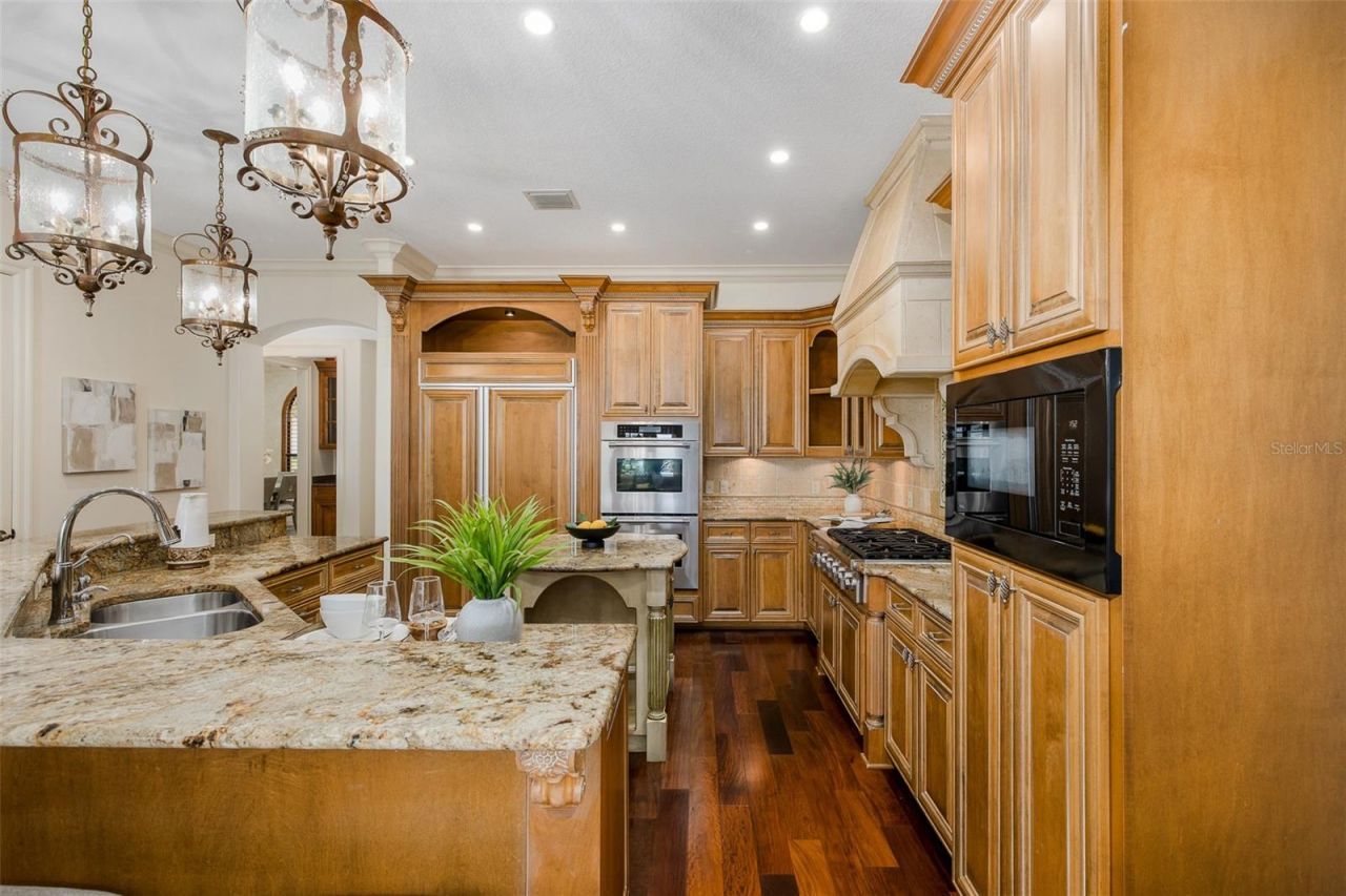 9943 Milano Drive, Trinity, FL 34655 Photo