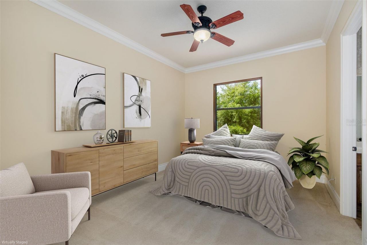 9943 Milano Drive, Trinity, FL 34655 Photo