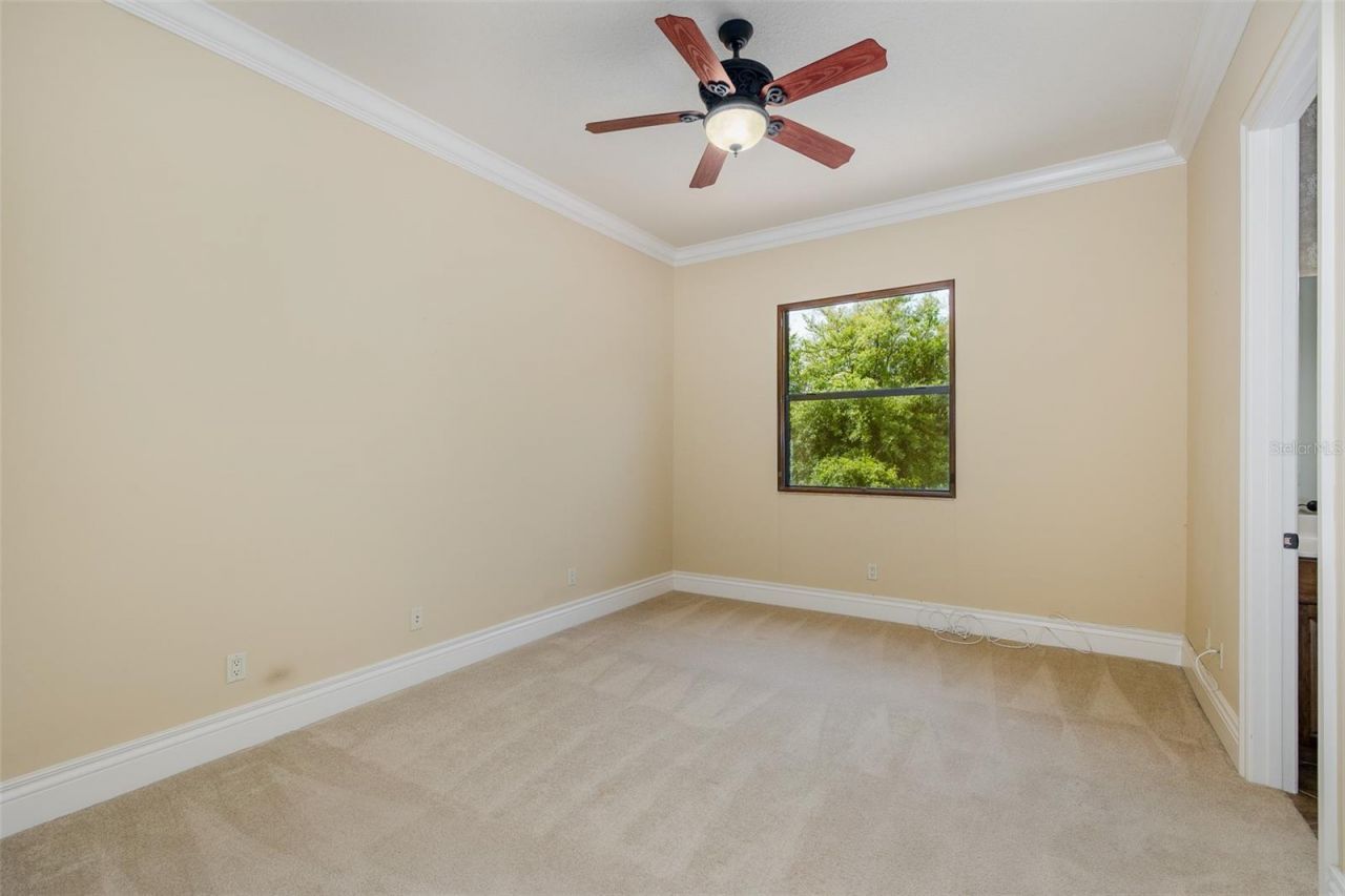 9943 Milano Drive, Trinity, FL 34655 Photo