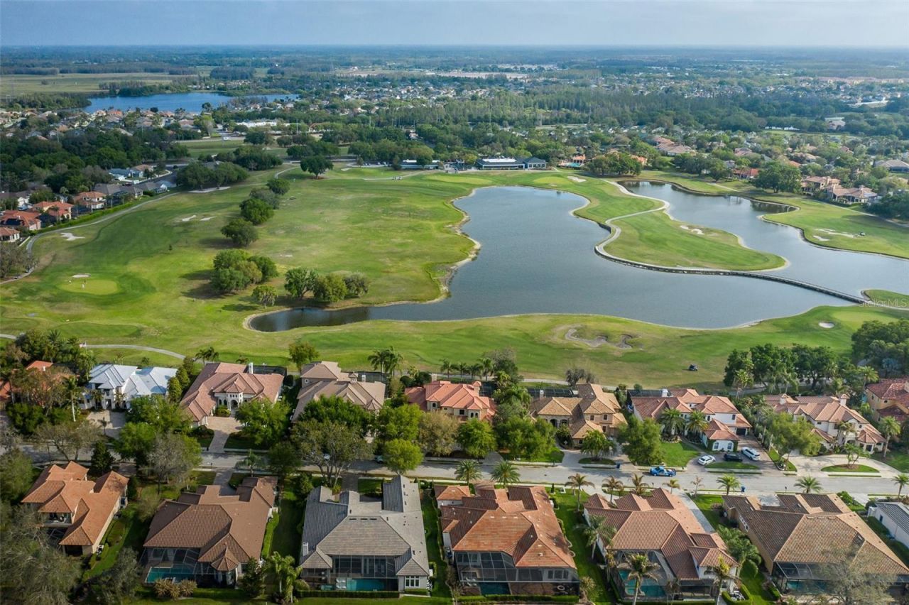 9943 Milano Drive, Trinity, FL 34655 Photo