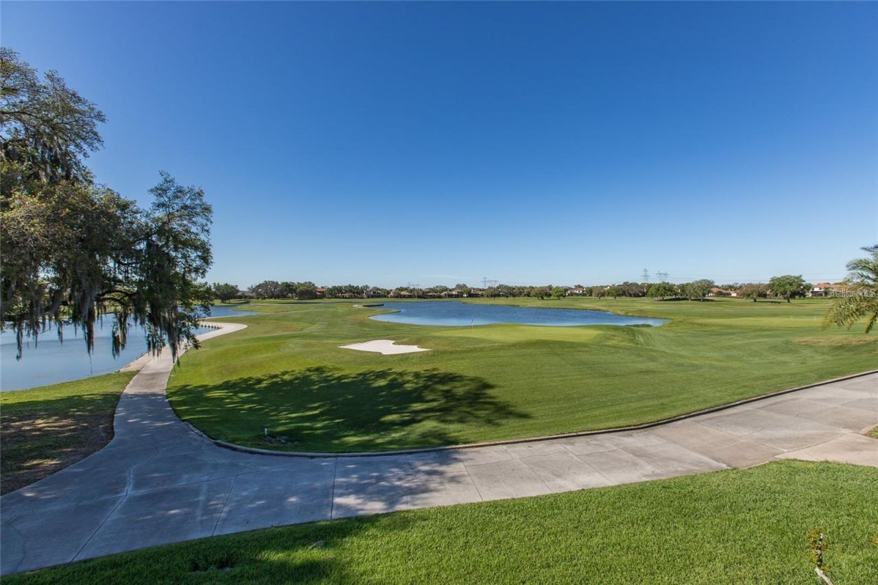 9943 Milano Drive, Trinity, FL 34655 Photo