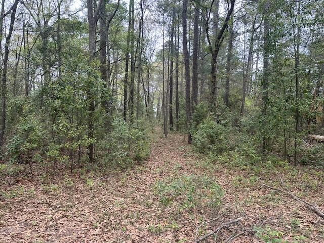 829 Lewis Road Photo 12