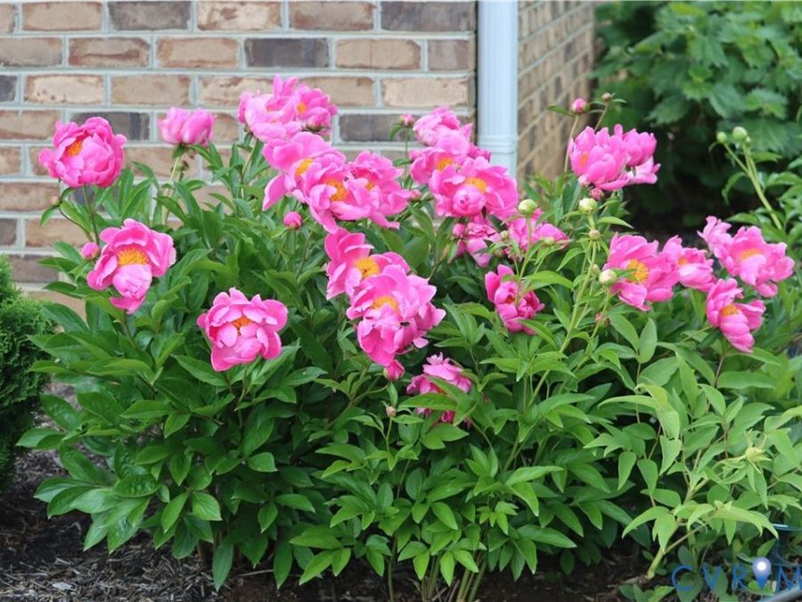Property Image 65
