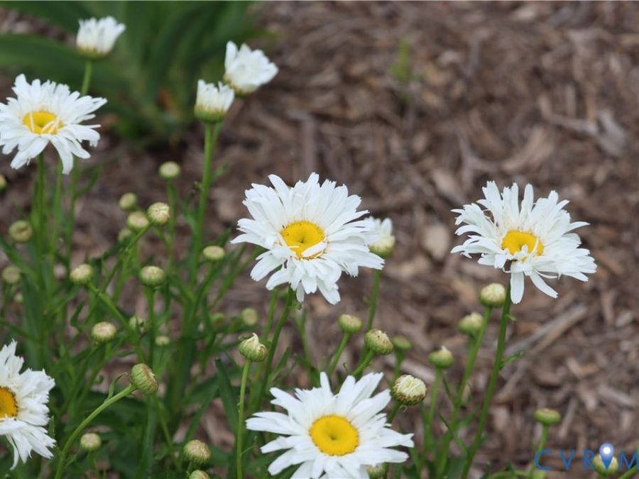 Property Image 70