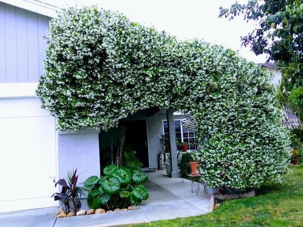 4777 Crooked Creek Ct., San Diego, CA 92113