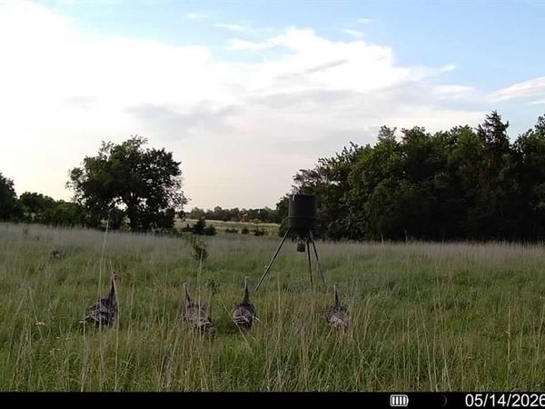 80 acres mol County Road 69, Crescent, OK 73028