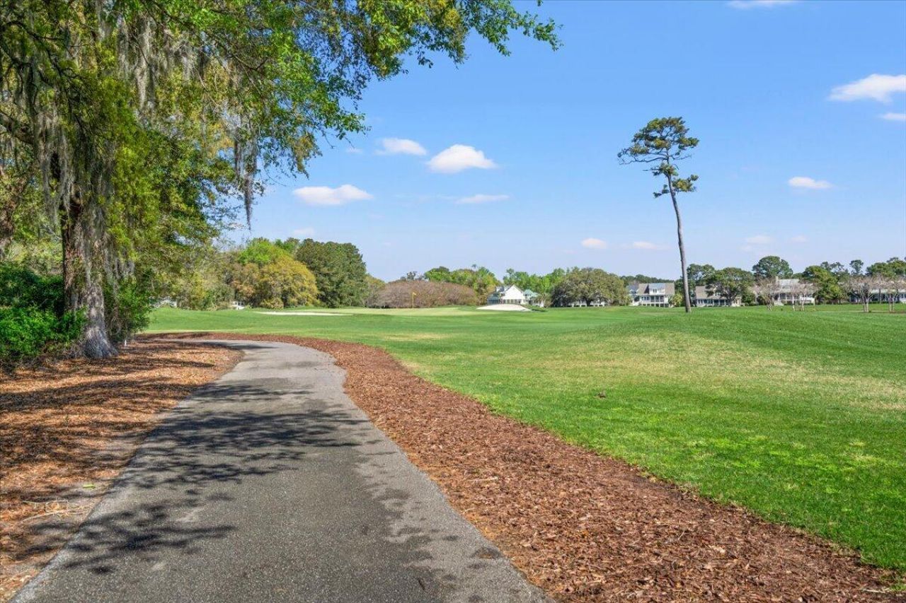 4283 Hope Plantation Drive Photo 77