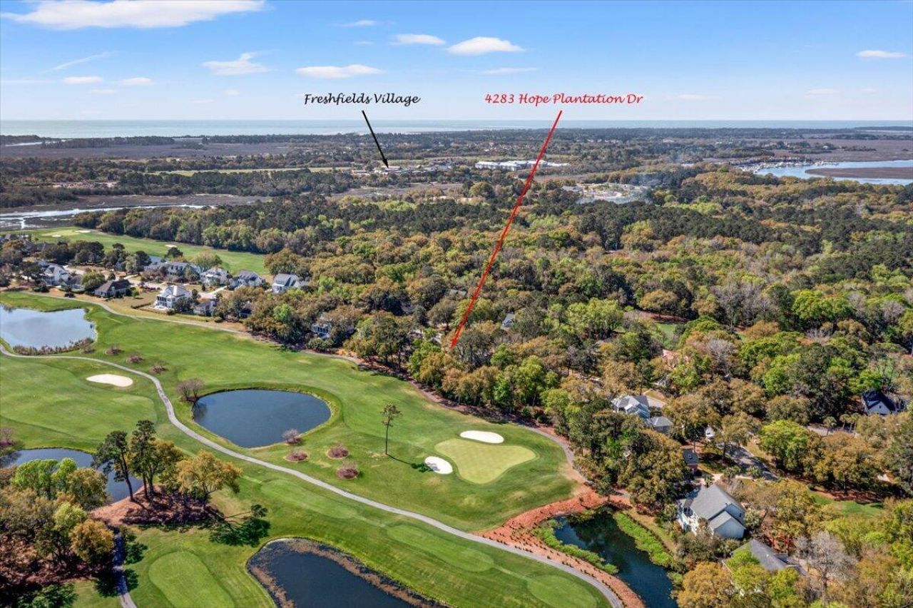 4283 Hope Plantation Drive Photo 99