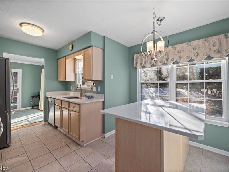 10248 Brighton Circle, Twinsburg, OH 44087 Photo 12