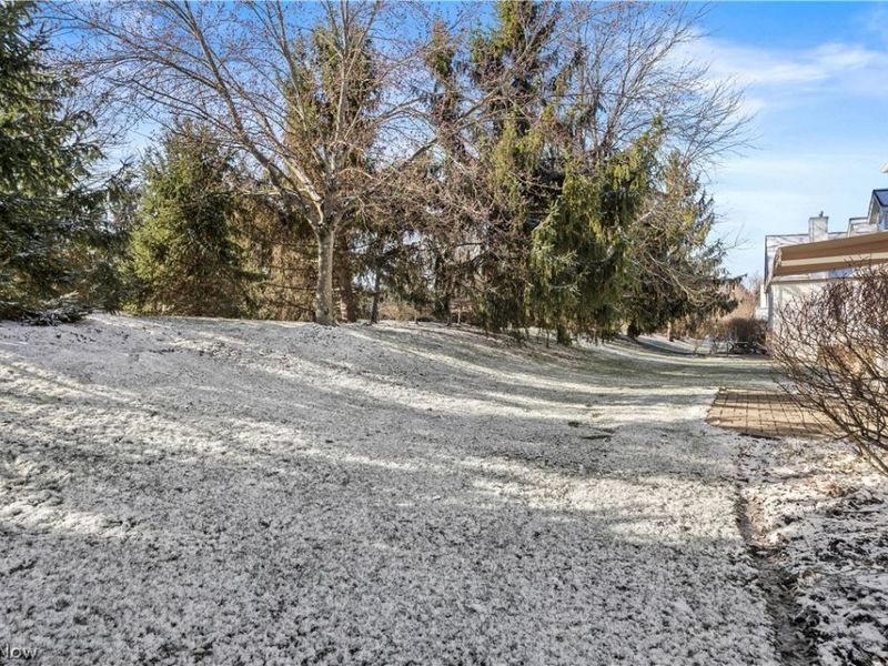 10248 Brighton Circle, Twinsburg, OH 44087 Photo 34