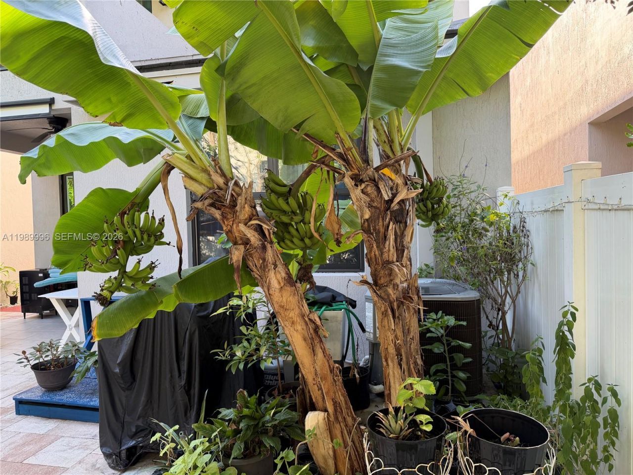 330 NW 33rd Ln, Pompano Beach, FL 33069 Photo