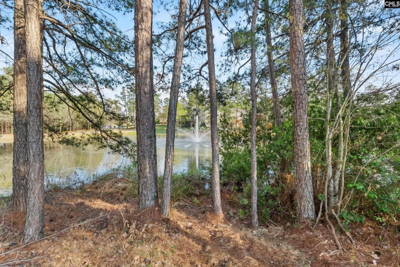 284 October Glory Drive  Photo 5