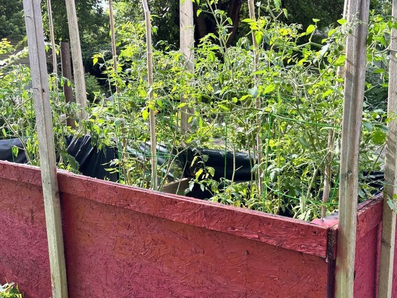 63 N Ogden Avenue, Columbus, OH 43204 Photo 50