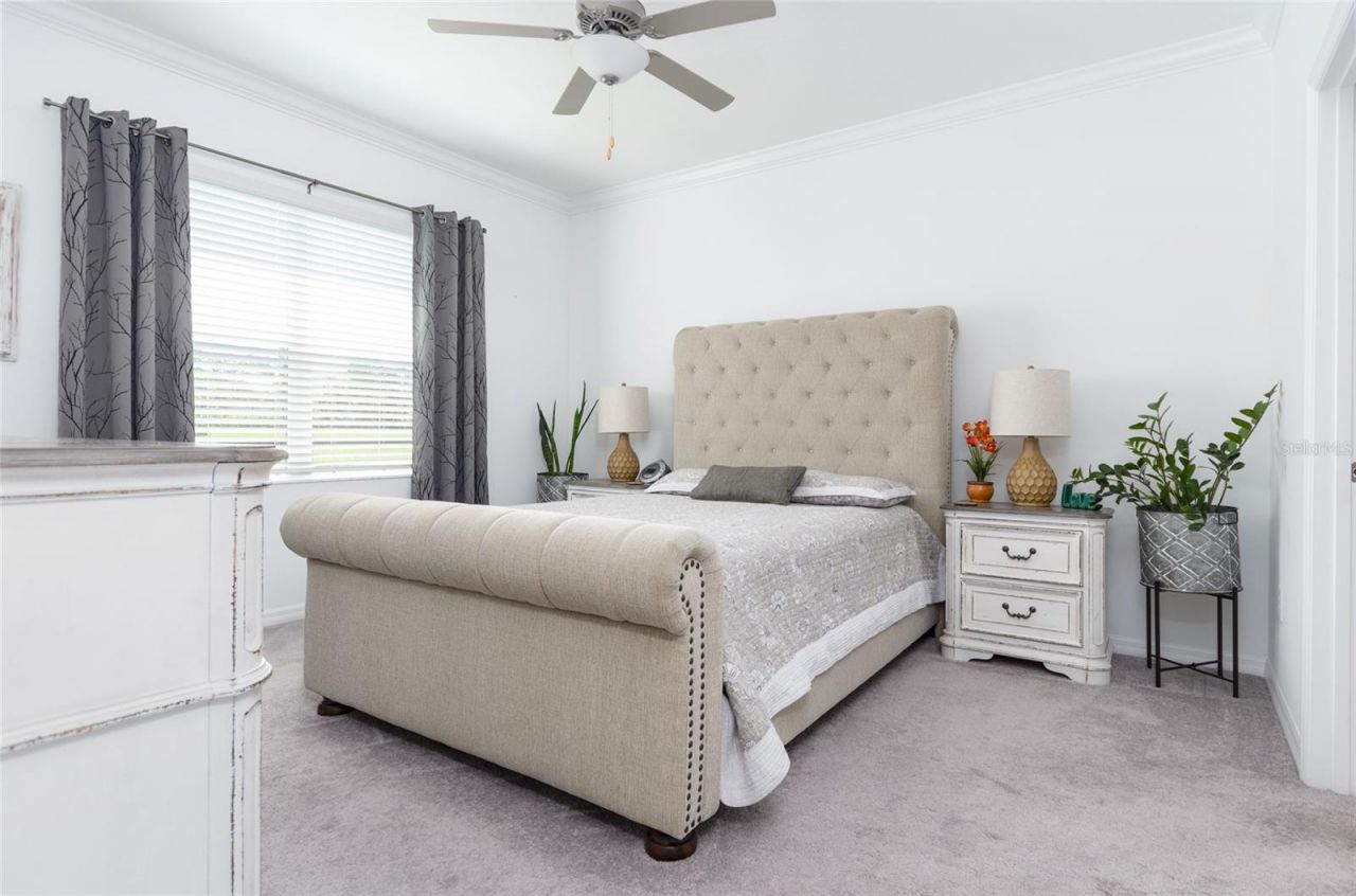 6736 Ripple Pond Loop, Zephyrhills, FL 33541 Photo