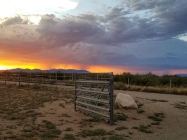 3645 E ROBBS Road, Willcox, AZ 85643