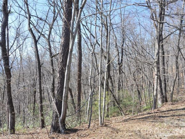 TBD Mountain Crest Drive S, Marion, NC 28752