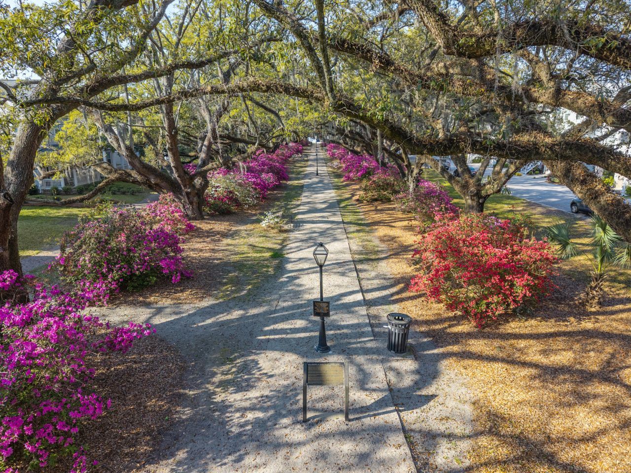 1034 Avenue Of Oaks Photo 35