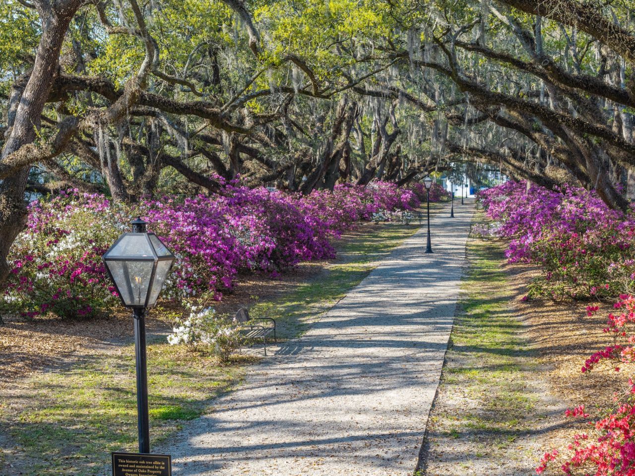 1034 Avenue Of Oaks Photo 36
