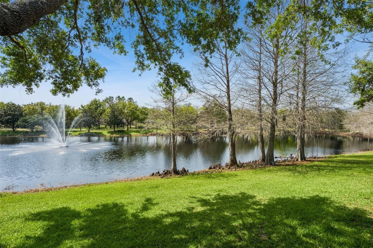 10228 Kensington Shore Drive, Orlando, FL 32827 Photo