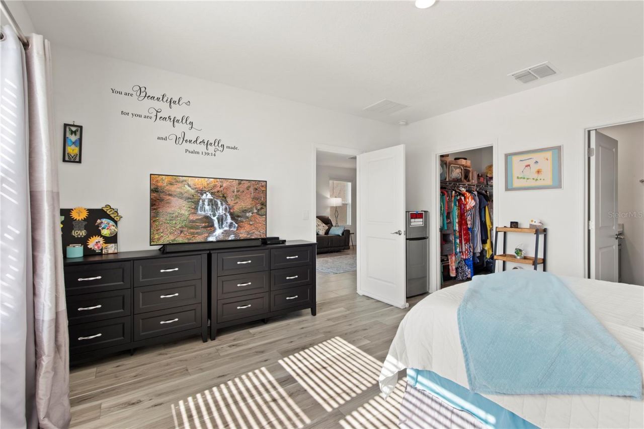 6250 Wandering Willow Drive, Wesley Chapel, FL 33545 Photo