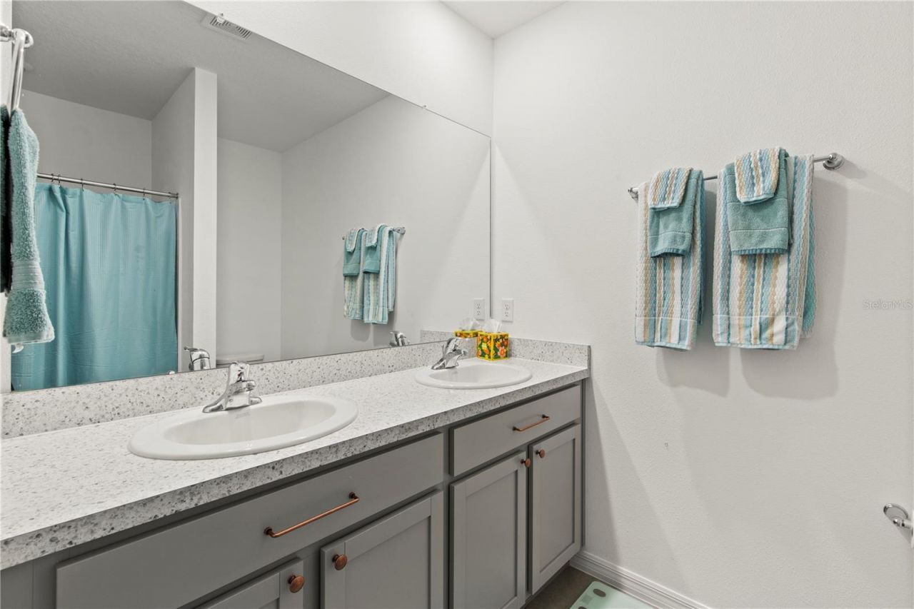 6250 Wandering Willow Drive, Wesley Chapel, FL 33545 Photo