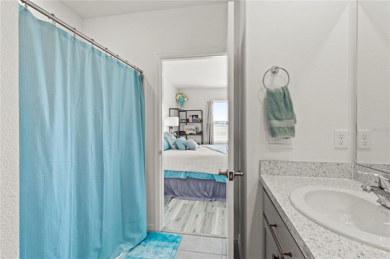 6250 Wandering Willow Drive, Wesley Chapel, FL 33545 Photo