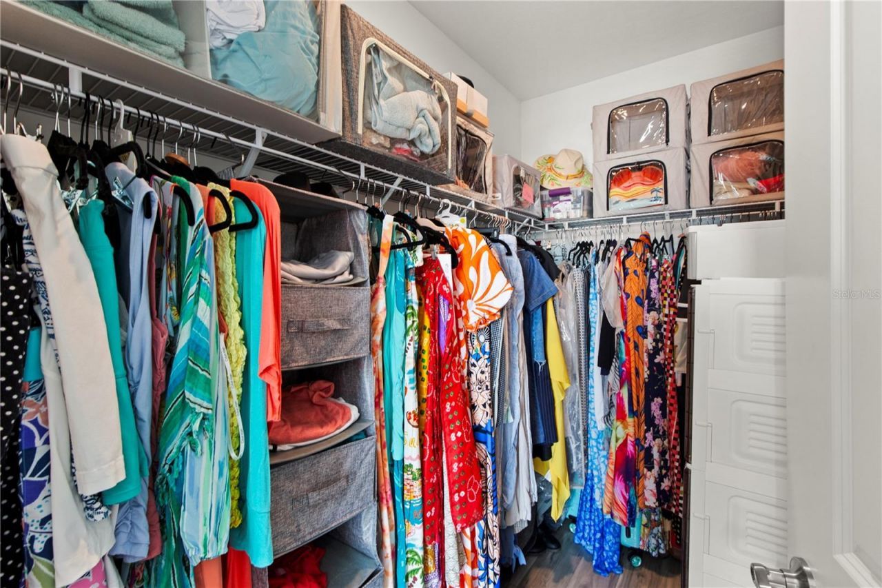 6250 Wandering Willow Drive, Wesley Chapel, FL 33545 Photo