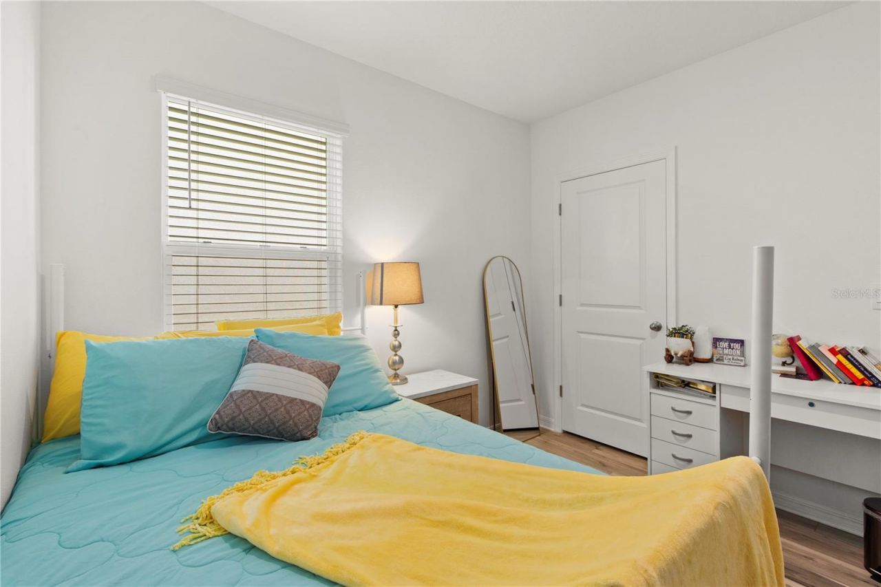 6250 Wandering Willow Drive, Wesley Chapel, FL 33545 Photo