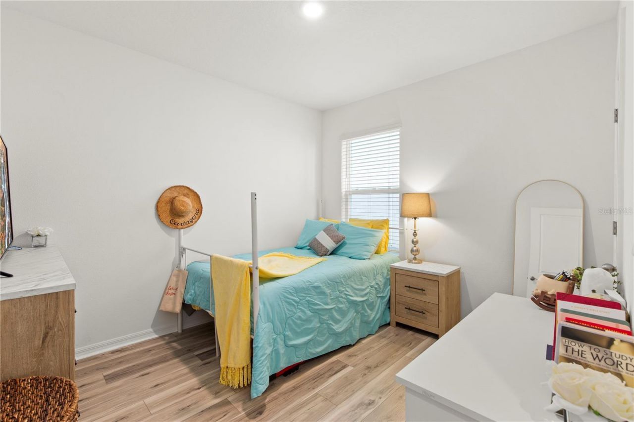 6250 Wandering Willow Drive, Wesley Chapel, FL 33545 Photo