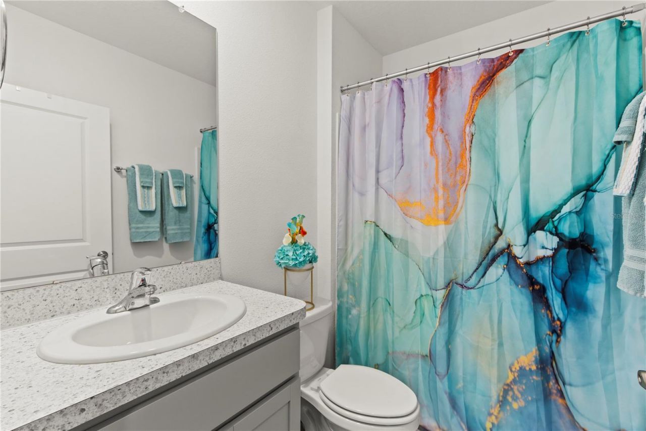 6250 Wandering Willow Drive, Wesley Chapel, FL 33545 Photo