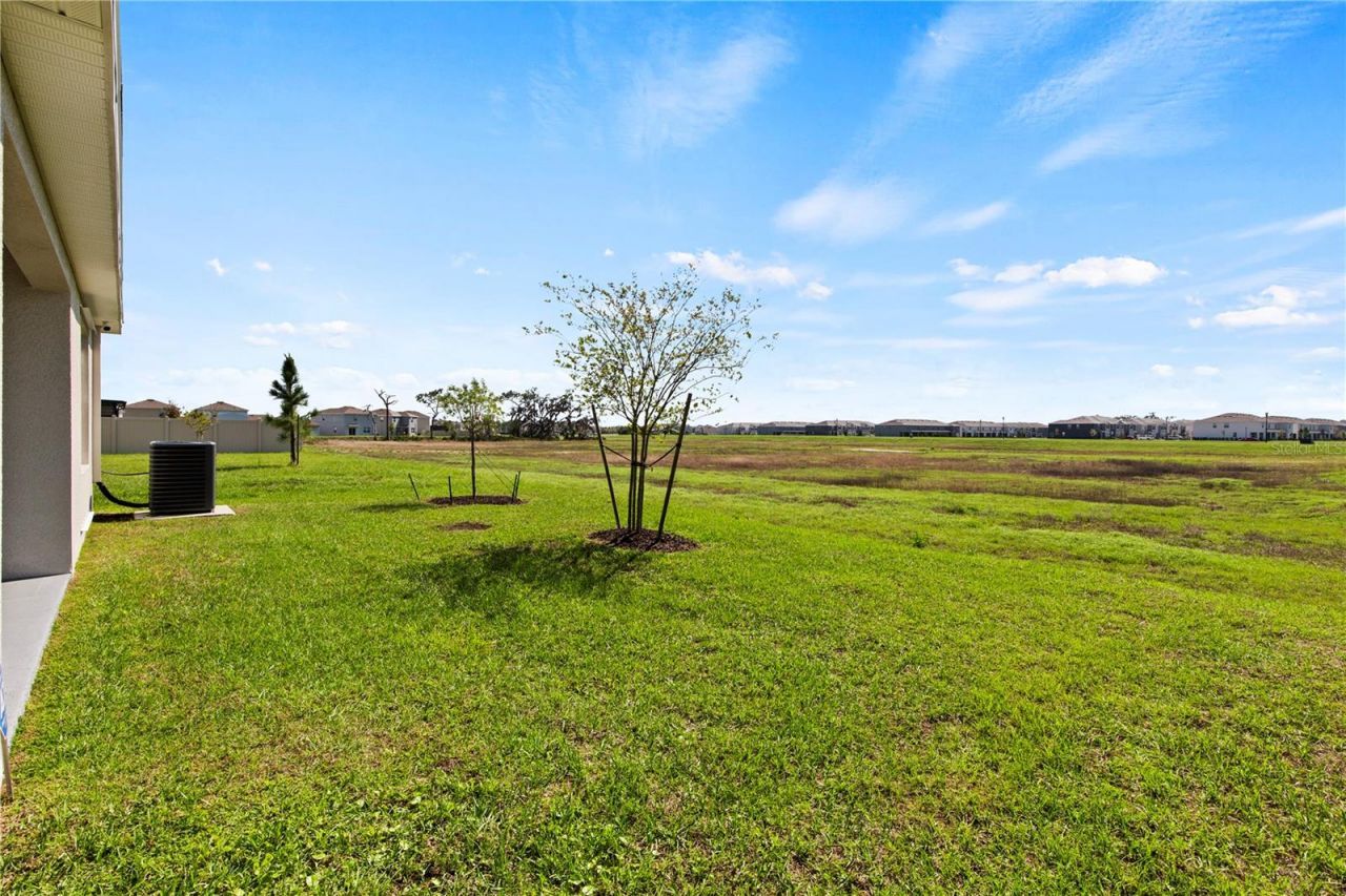 6250 Wandering Willow Drive, Wesley Chapel, FL 33545 Photo