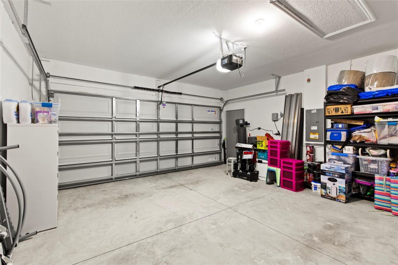 6250 Wandering Willow Drive, Wesley Chapel, FL 33545 Photo